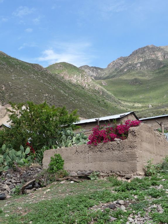 Album - 43.Canyon de Colca (Perou-Janvier)