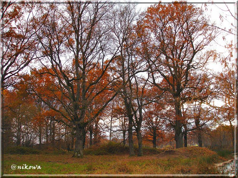 Album - Etangs en Automne