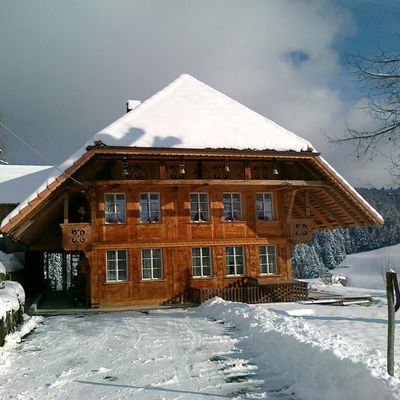 Renovation Bauernhaus und Reisen