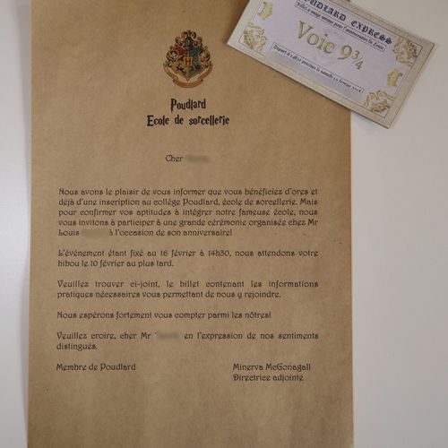 Notre Anniversaire Harry Potter Pompons Et Macarons