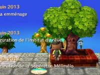 Le secret de l'arbre de la place