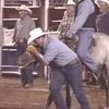STOP aux abus criminels sur des chevaux et des veaux à la prison d'Oklahoma
