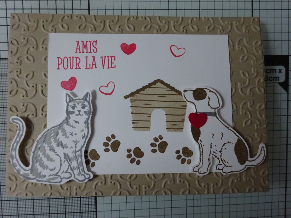 [Stampin'Up!®] set de tampons Nine Lives et Joyeux Copains