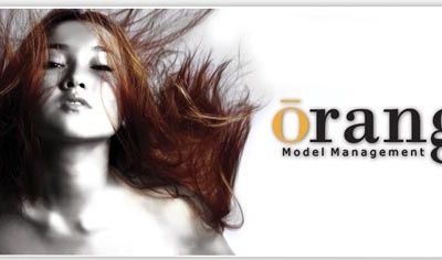 Les différences culturelles en entreprise.