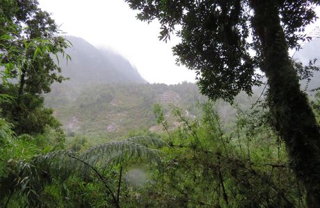 Parque Pumalin, Chaitén