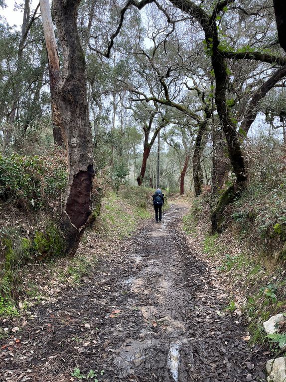 Petits et grands chemins