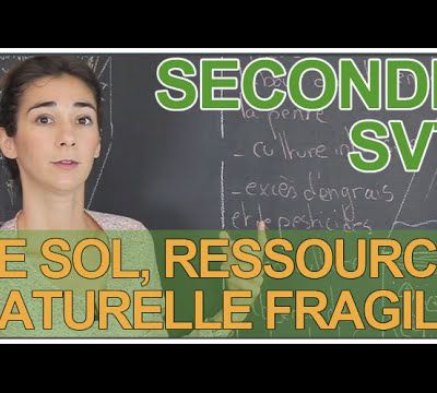 Le sol, ressource naturelle fragile - SVT - Seconde - Les Bons Profs