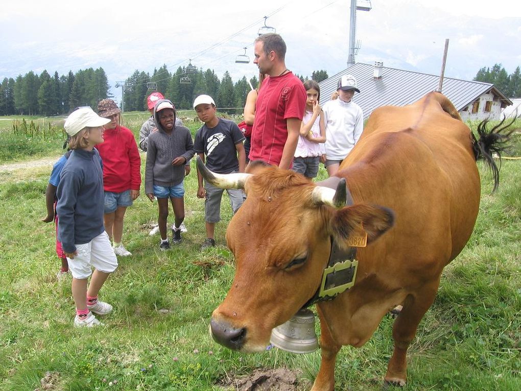 Album - PEISEY - FRANCE, Savoie