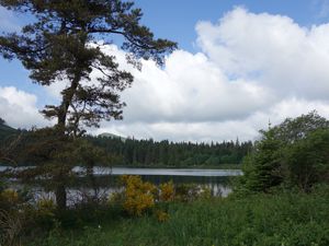 Le lac de Servières est un magnifique maar situé entre Chaîne des Puys et Sancy.