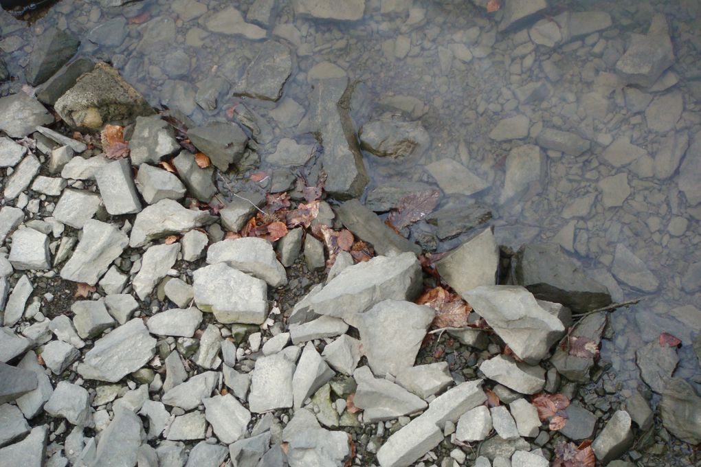 Lac, issu du barrage-hydroélectrique, entravant le cours de la Sélune sur la commune de Vezins