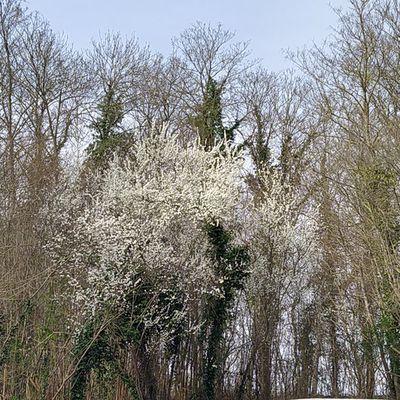 24 heures photo 2024 12 : c'est le printemps