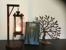 Les ombres filantes 