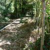 CLAYE-SOUILLY : LA DESTRUCTION DU DERNIER LAVOIR COMMUNAL