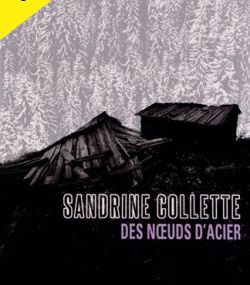 DES NOEUDS D'ACIER de Sandrine Collette