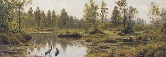 SOUS LA FORÊT, UN ROYAUME