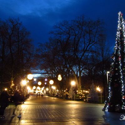 Au temps des marchés de Noël : Colmar Place Rapp