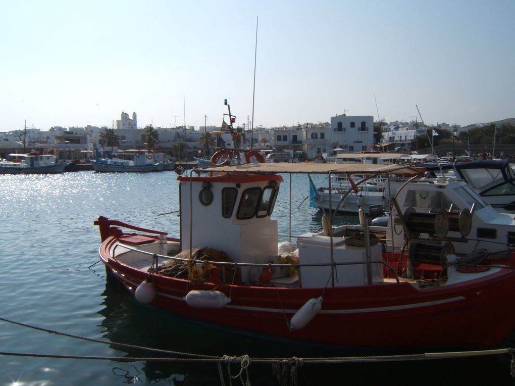 cette ile est un site archéologique a ciel ouvert avec des vestiges de moins 700 avant jc a voir absolument  45 euros par Personne depuis Paros : visite du matin Delos et après midi Mikonos