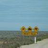 Plaine de Nullarbor