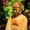 What is the Purpose of Life in Buddhism