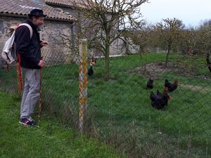 On entend des oiseaux, on les voit de près et de loin...