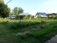 Foire au Centre de Formation Agricole du Wat Yan