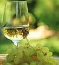 #Chenin Blanc Producers Australia Vineyards Page 2