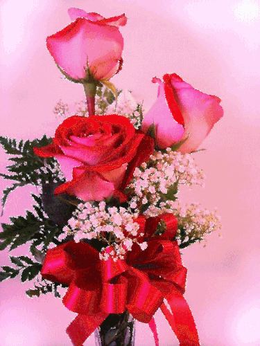 Q Tbn And9gcsor71en6yni1astfubyv23hqc4i4waezw33a Usqp Cau