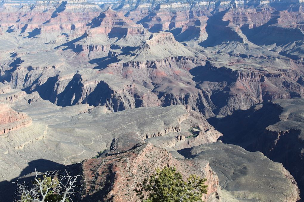 The road trip - Grand Canyon