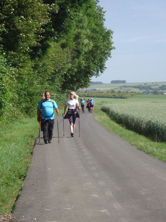 la montée avant le bois