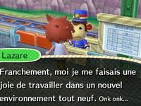 Newsletter (16) :