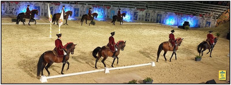 Arènes d'arles - Nuits de l'Art Equestre - 16 et 17 août 2013 L'Ecole Portugaise d'Art Equestre de Lisbonne