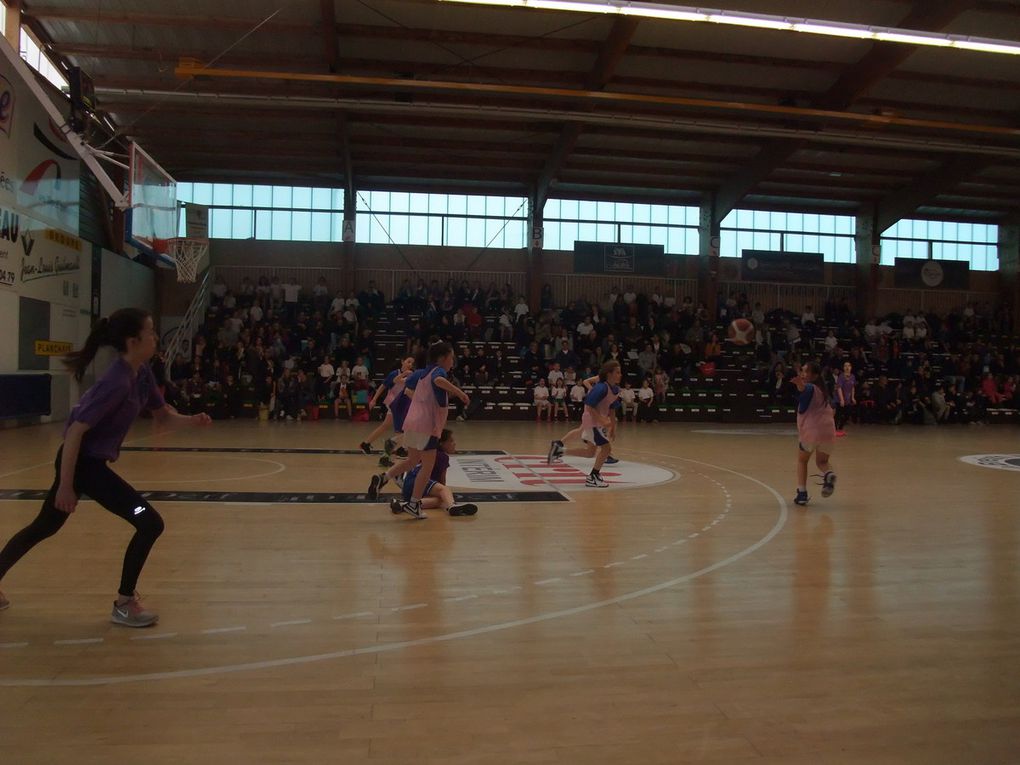 Festival de basket