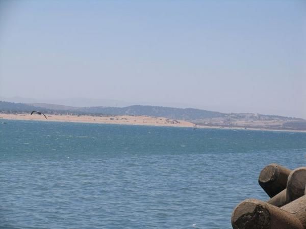 quelques 106 photos d'Essaouira, de son port, de ses mouettes et de ses chats plus ou moins mités