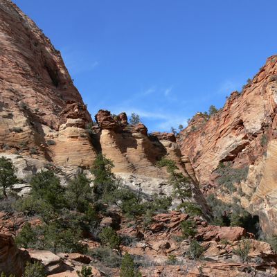 Le parc de zion dans l'Utah