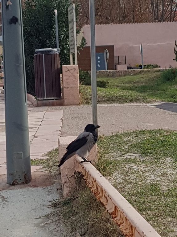 La Balagne, ça vous gagne... ou pas !