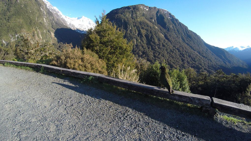 Sud Ouest de l'île du Sud - NZ