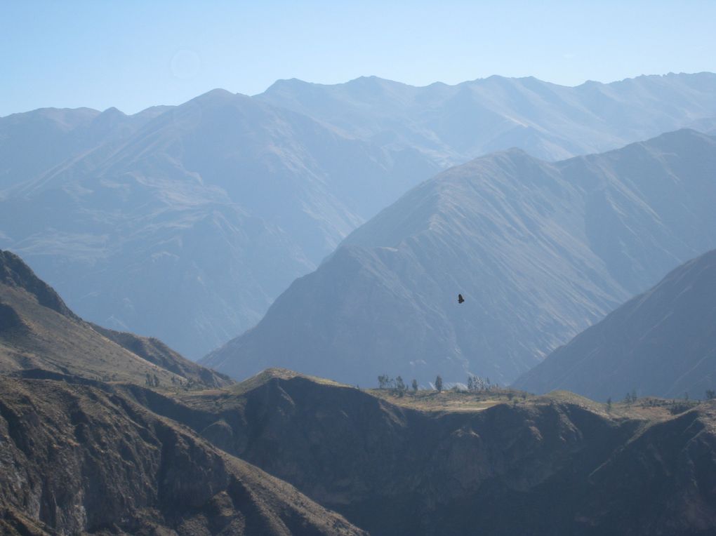 Album - Colca Canyon - 5 Juillet