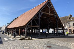 Visite de la ville de Milly-la-forêt