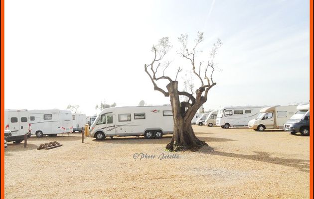 Aire Motorhome Park de Tavira (P)