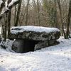 Les dolmens du CAUSSE DE LIMOGNE EN QUERCY