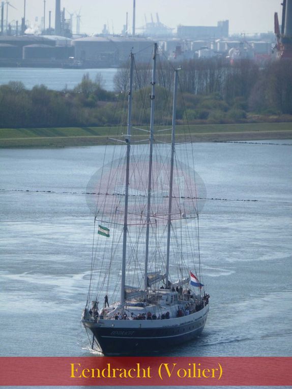 Aujourd'hui, le BREAKAWAY embarque ses premiers passagers commerciaux. Nous appareillerons à 16h afin de descendre la Meuse (et donc tout le port) pendant 2h30.