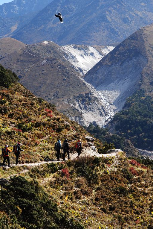 De Tenboche à Dingboche