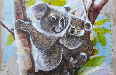 Koalas