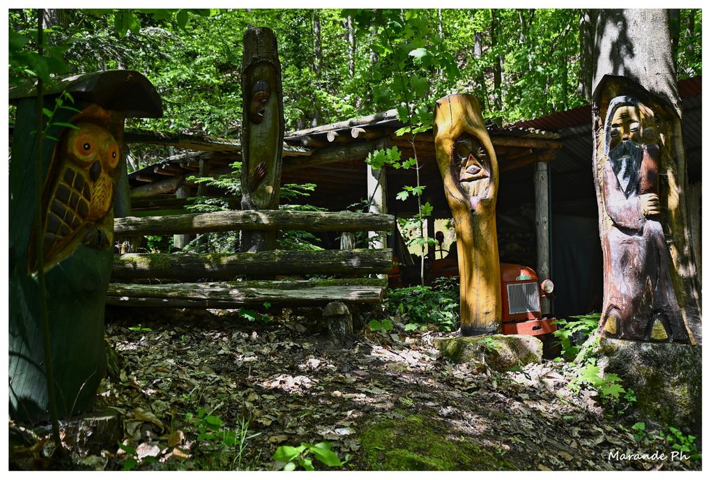 Si vous partez de la table des sorcières (hexentisch) pour descendre à Haegen vous pourrez découvrir de belles sculptures en bois exécutées par un habitant de Haegen