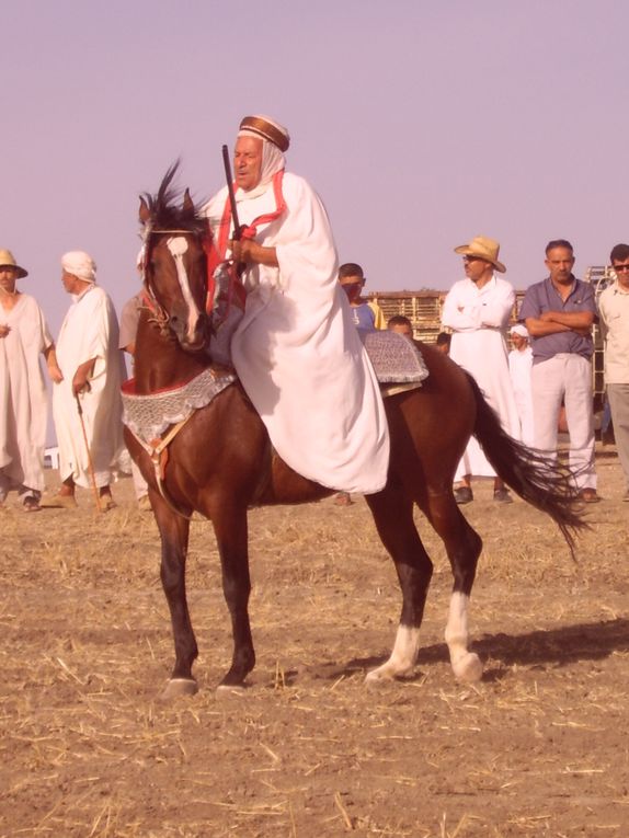 Album - Fantasia à Smara près de Mostaghanem