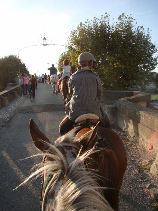 Album - EQUIAUDE-2009-JOURNEE-DU-SAMEDI