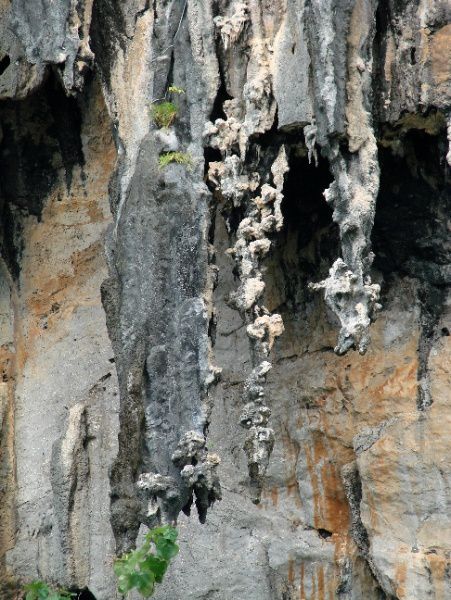 Plage de Railey, près de Krabi, cadre très agréable, en bonus photos d'une expo sur l'art Thai à Bangkok.