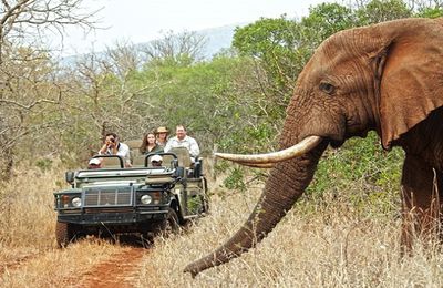 Tanzania Safari Tours – A Trip To Remember For Life