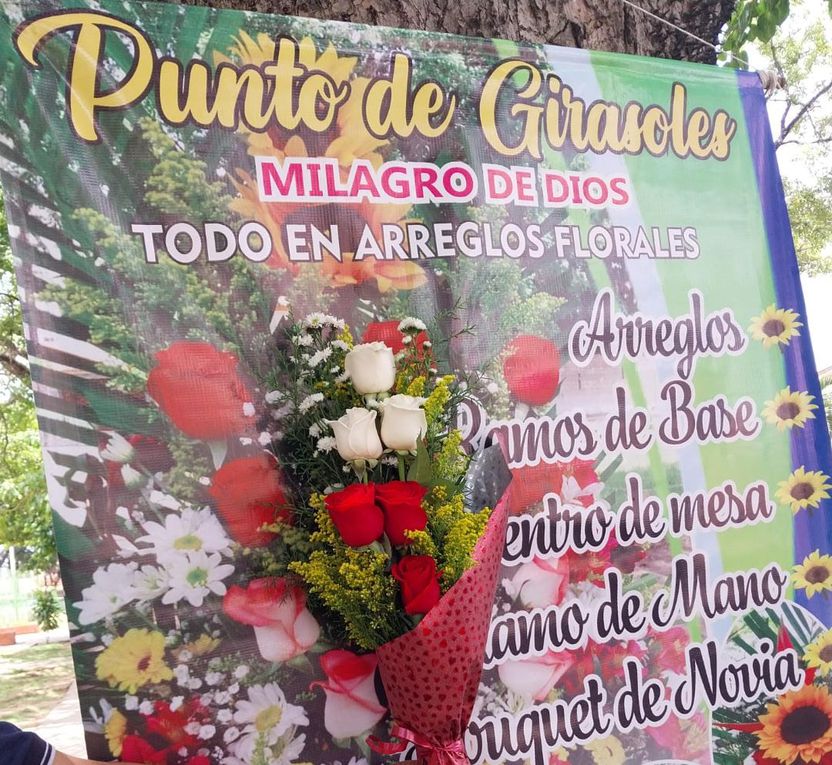 &quot;Punto de Girasoles Milagro de Dios&quot; ofrece variedad de flores al mayor y detal en el Trigal Norte (Publicidad)