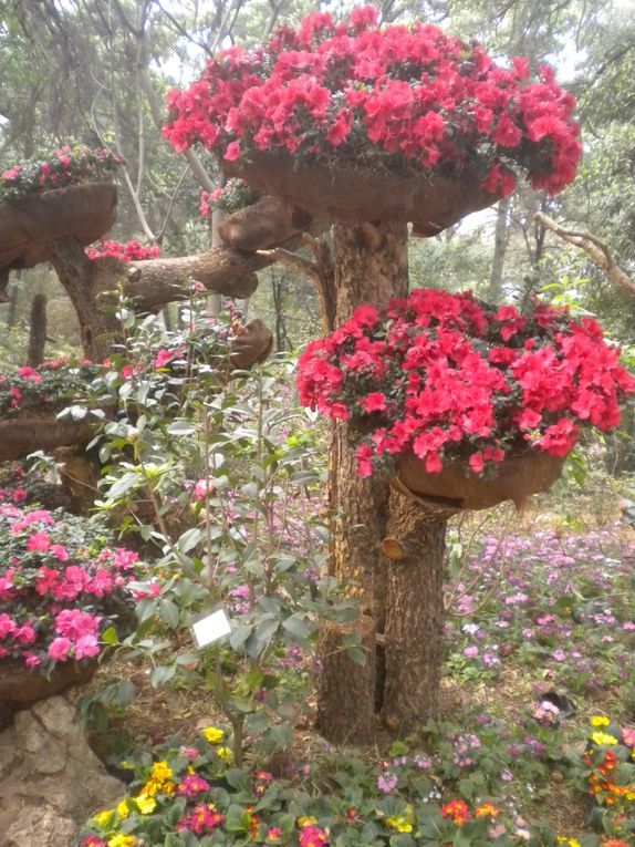 Guanxi, Guizhou, Yunnan : de Longji à Kunming en passant par Chenyang, Guiyang et Anshung